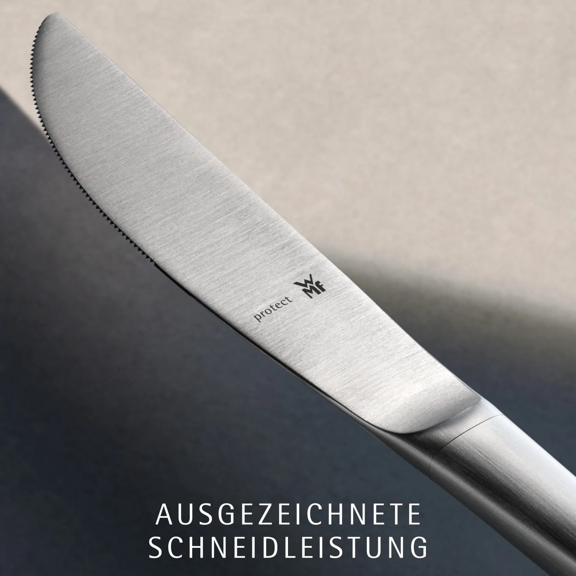 Corvo Besteck-Set, 66-teilig, Cromargan protect®|WMF Discount