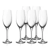 EasyPlus Champagnerkelche, 6 Stück|WMF New