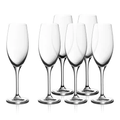 EasyPlus Champagnerkelche, 6 Stück|WMF New