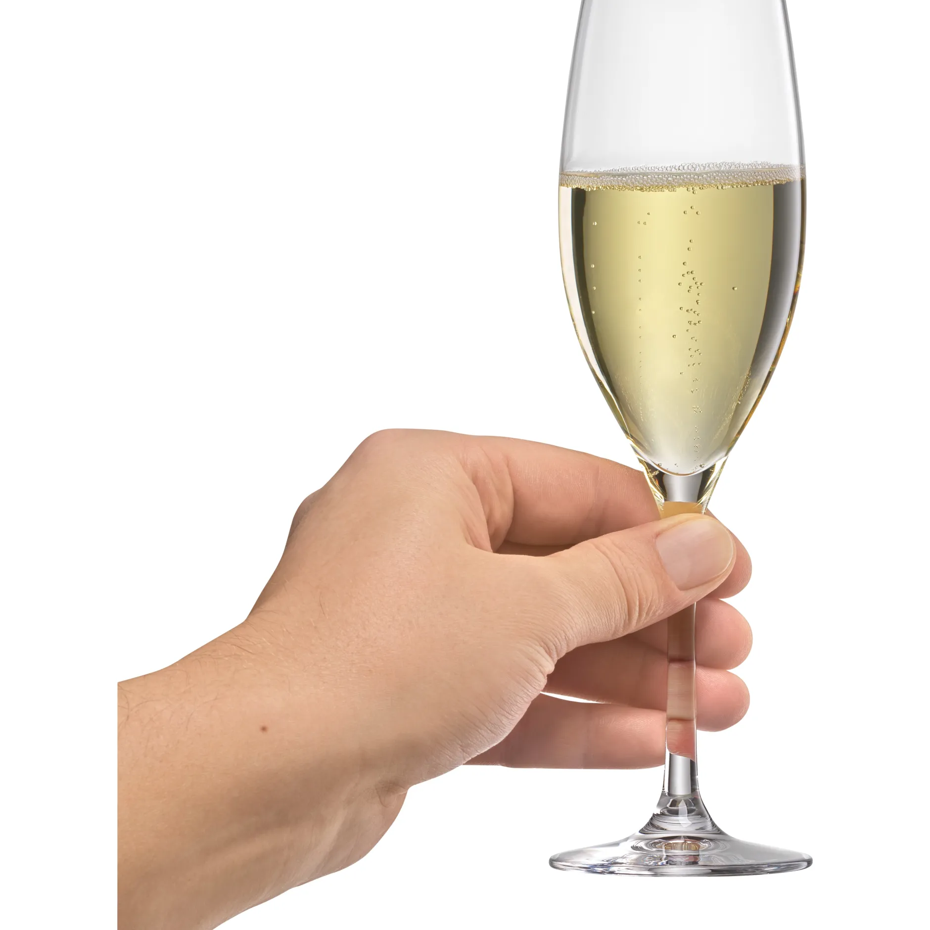 EasyPlus Champagnerkelche, 6 Stück|WMF New