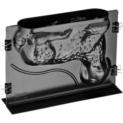 KAISER 3D Vollbackform Lamm 1,75 l|WMF Outlet