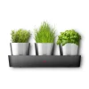 Silit Collexio Indoor Kräutergarten, 3-teilig|WMF Best