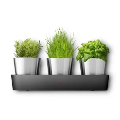 Silit Collexio Indoor Kräutergarten, 3-teilig|WMF Best